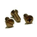 Machine Screw Oval Head